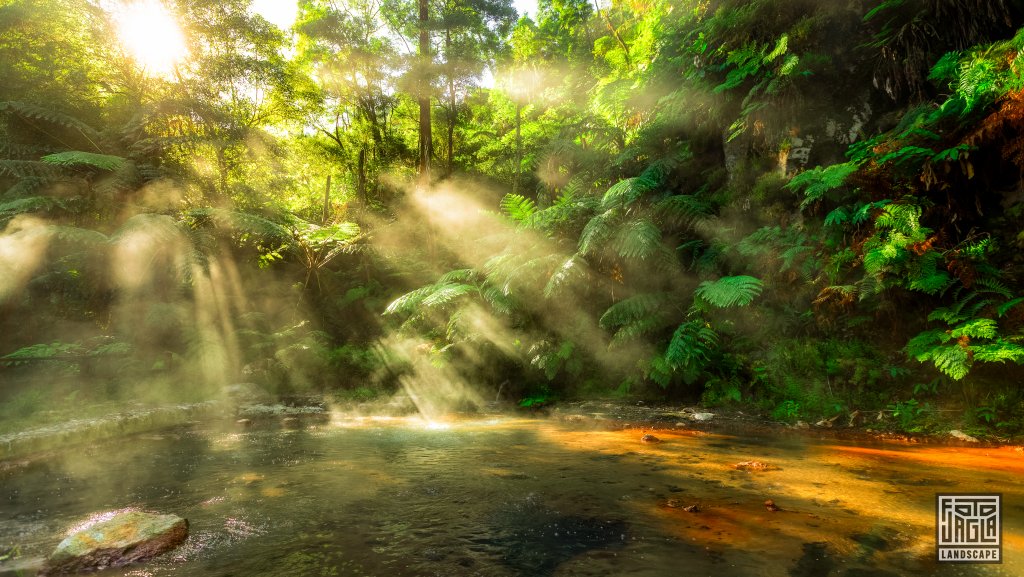 Heie Thermalwasserbecken im Naturdenkmal Caldeira Velha
So Miguel auf den Azoren, Portugal 2023