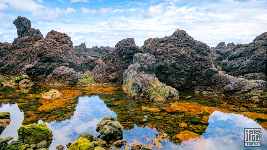 Nordkste der Insel am Caminho Vinhas do Mar
Terceira auf den Azoren, Portugal 2023