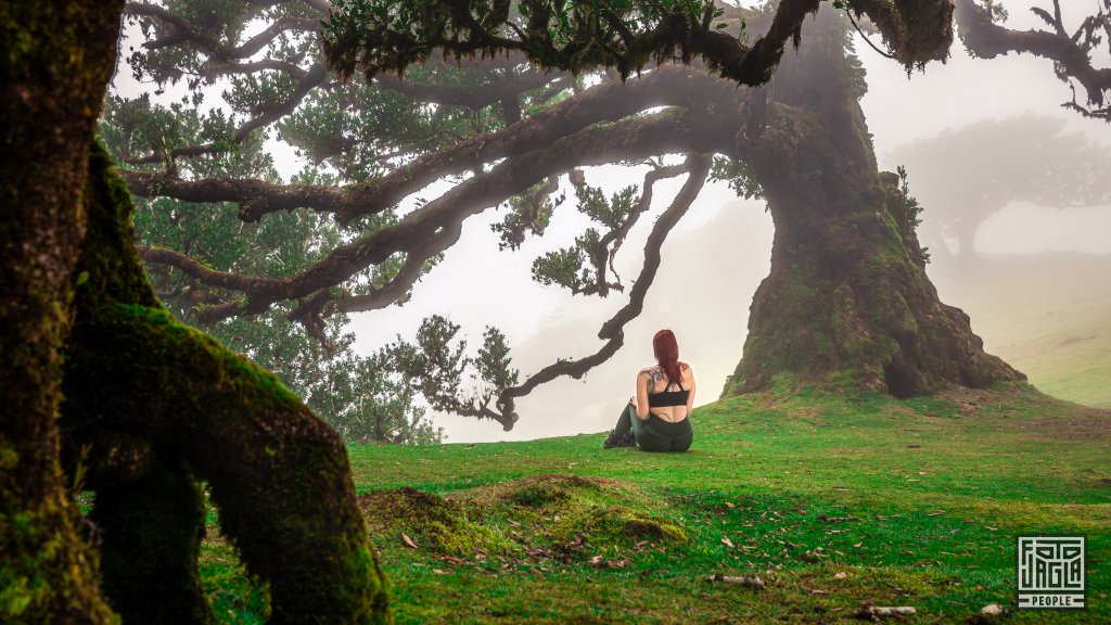 Alienna im mystischen Lorbeerwald Fanal
Madeira 2023