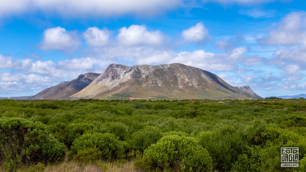 Wunderschne Bergaussicht
Van Dyks Bay
Sdafrika