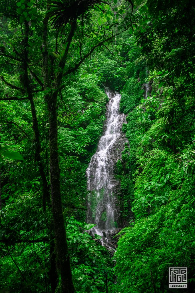 El Tigre Waterfalls in Monteverde
Wasserfall
Wasserfall in Costa Rica