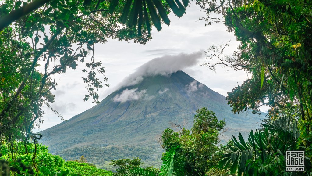Vulkan Arenal mit Blick vom Mistico Park
Puentes Colgantes Arenal
Costa Rica