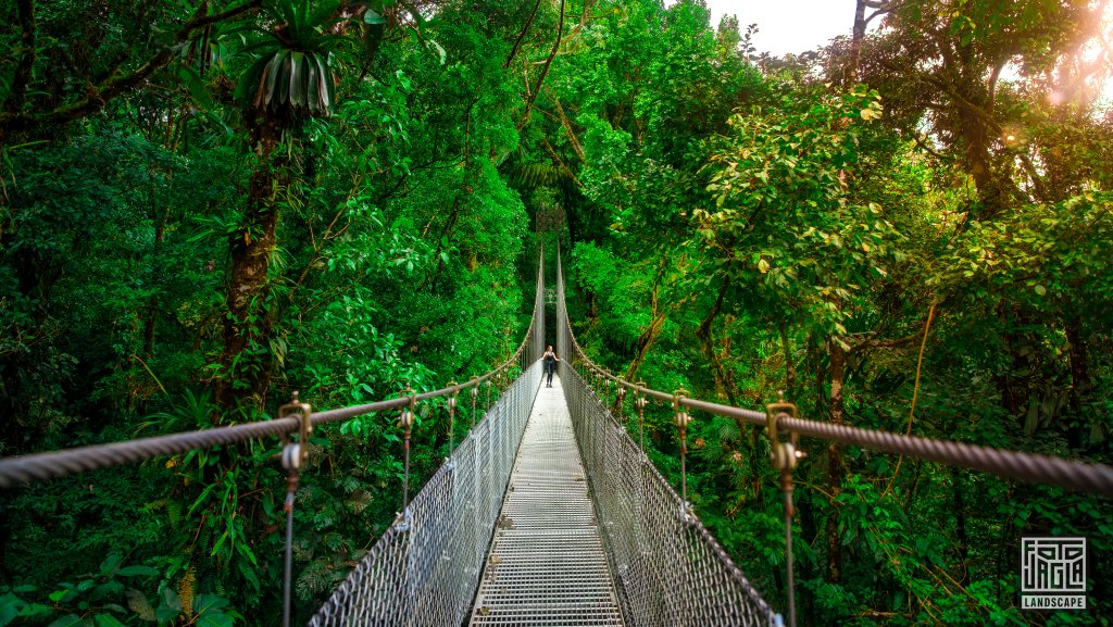 H�ngebr�cke im Mistico Park
Puentes Colgantes Arenal
Costa Rica