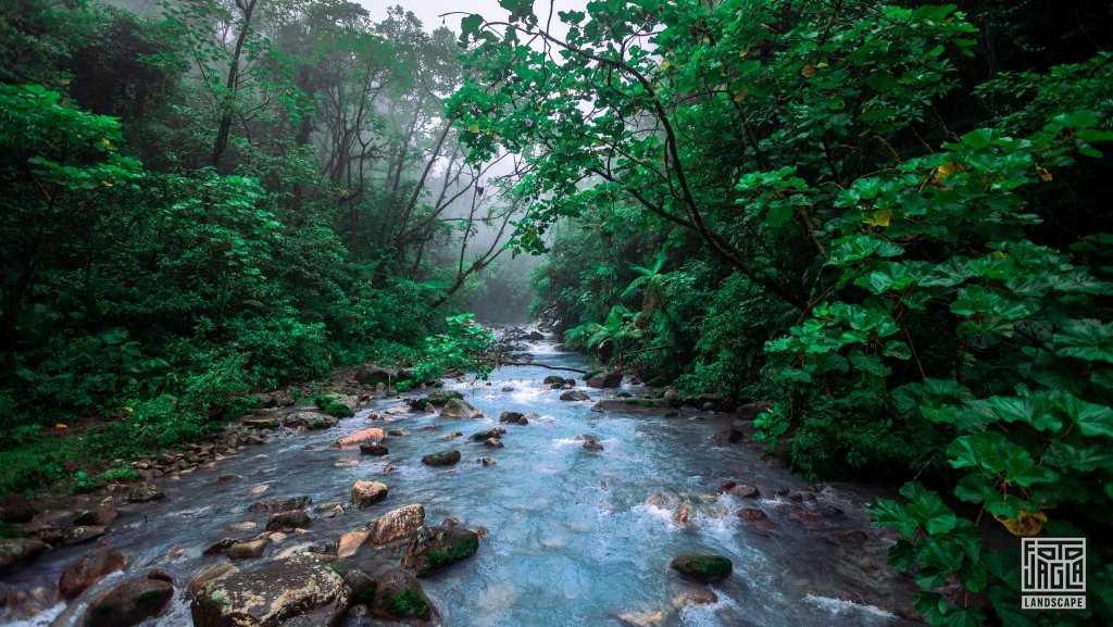 Flu� auf dem Weg zum Pozu Azul Wasserfall
Blue Falls of Costa Rica - In der N�he von Bajos del Toro
Costa Rica