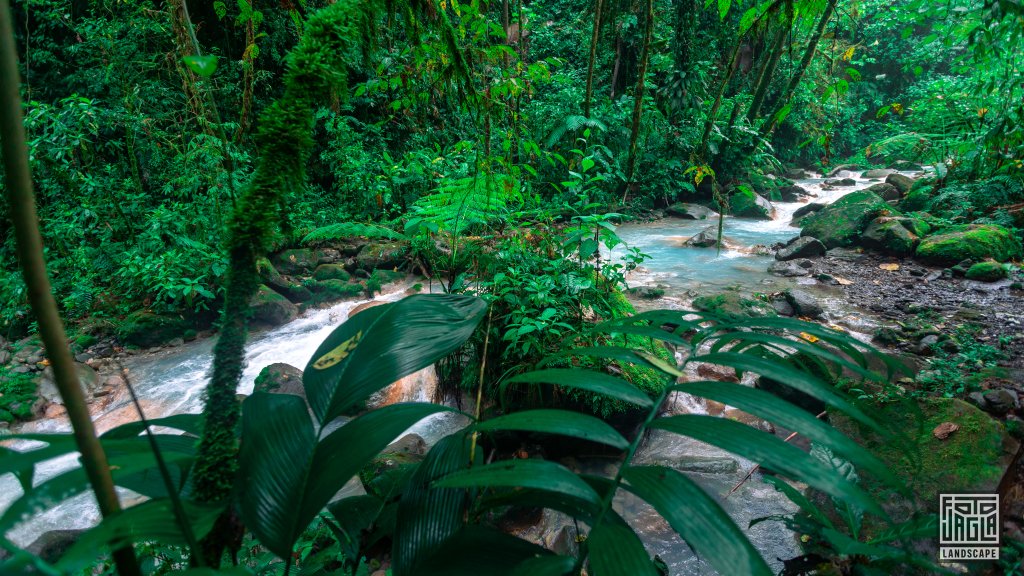 Wundersch�ner Flusspfad
Auf dem Weg zum Catarata Tepezquintle Wasserfall
Costa Rica