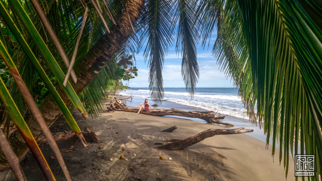 Wundersch�ner Strand mit Palmen
Puerto Vargas im Cahuita National Park
Costa Rica