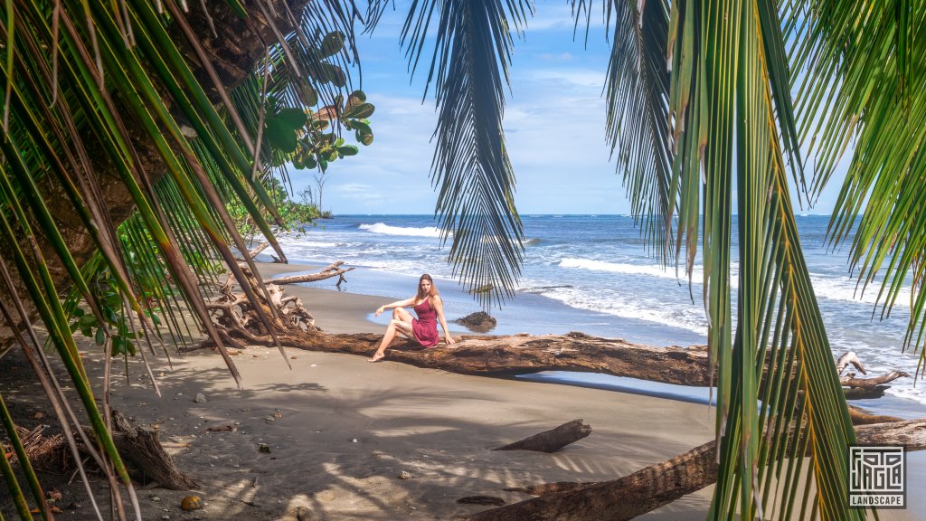Wundersch�ner Strand mit Palmen
Puerto Vargas im Cahuita National Park
Costa Rica