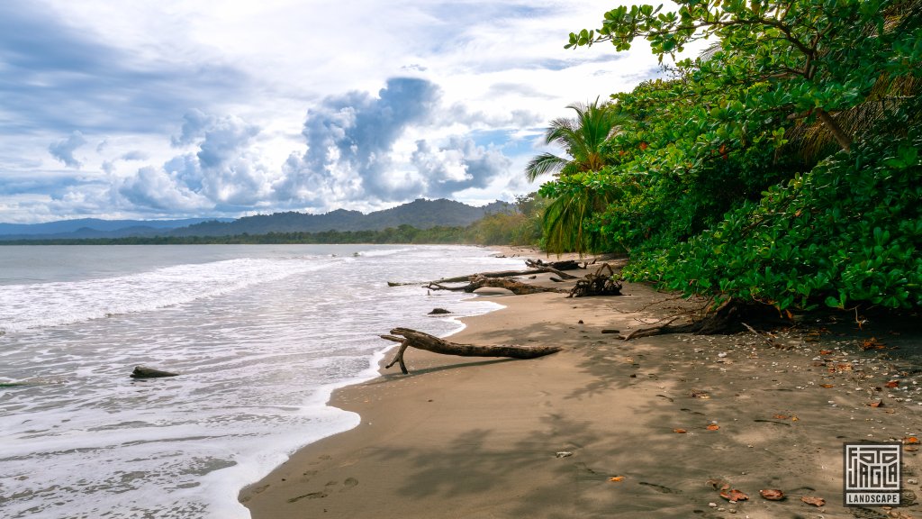 Wundersch�ner Strand mit Palmen
Puerto Vargas im Cahuita National Park
Costa Rica