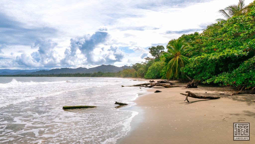 Wundersch�ner Strand mit Palmen
Puerto Vargas im Cahuita National Park
Costa Rica