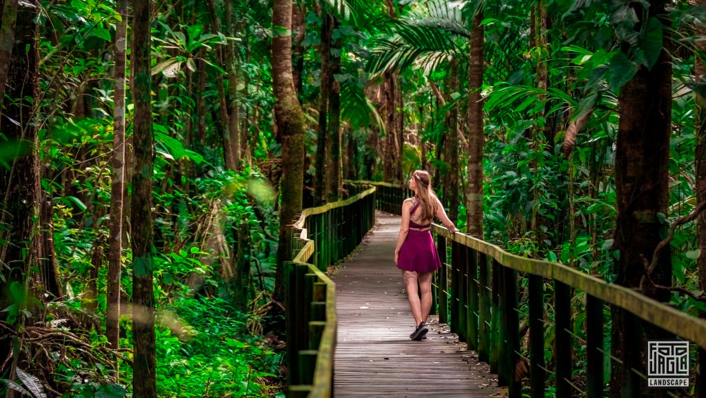 Traumhafter Spaziergang durch den Regenwald
Cahuita National Park
Costa Rica