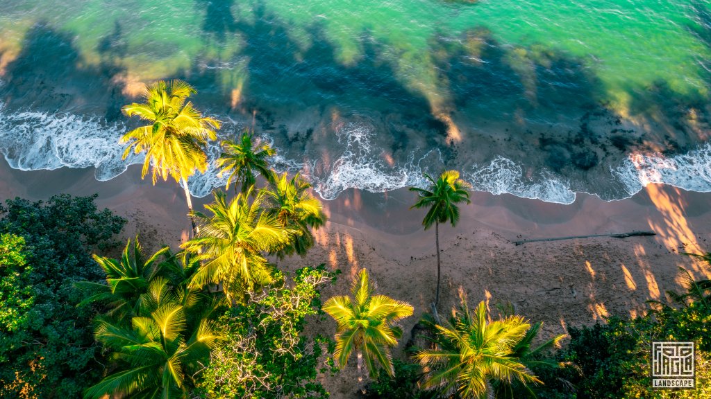 Traumhafter Strand zum Sonnenaufgang von oben
Drohnenaufnahme am Playa Punta Uva
Costa Rica