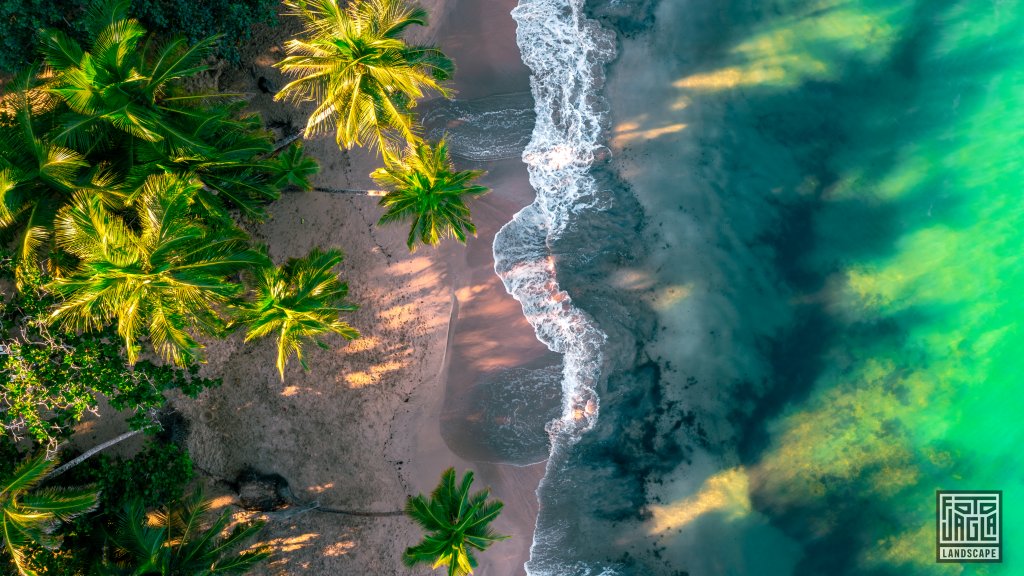 Traumhafter Strand zum Sonnenaufgang von oben
Drohnenaufnahme am Playa Punta Uva
Costa Rica