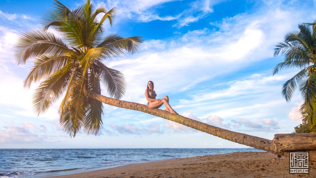 Sexy Fotoshooting am Strand auf einer Palme
Alienna im Bikini bei Sonnenuntergang
Playa Punta Uva (Karibikk�ste), Costa Rica