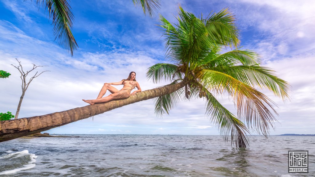 Sexy Fotoshooting am Strand nackt auf einer Palme
Aktaufnahme von Alienna
Costa Rica