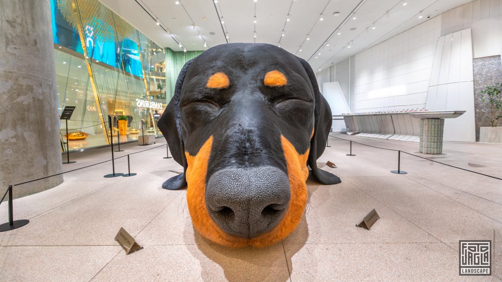 Riesiger Dackel "Sunshine" im Einkaufszentrum ICONSIAM
13 Meter lange und atmende Skulptur eines Dachshundes
Hauptstadt Bangkok, Thailand