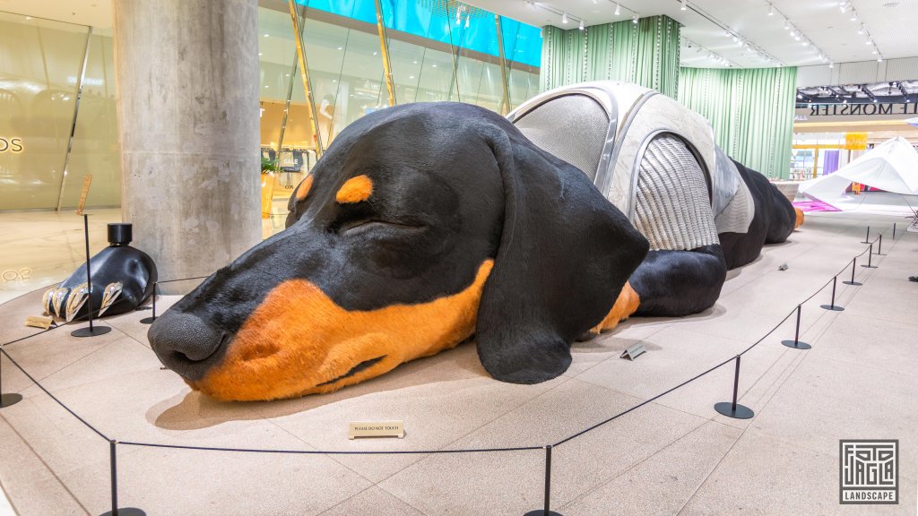 Riesiger Dackel "Sunshine" im Einkaufszentrum ICONSIAM
13 Meter lange und atmende Skulptur eines Dachshundes
Hauptstadt Bangkok, Thailand