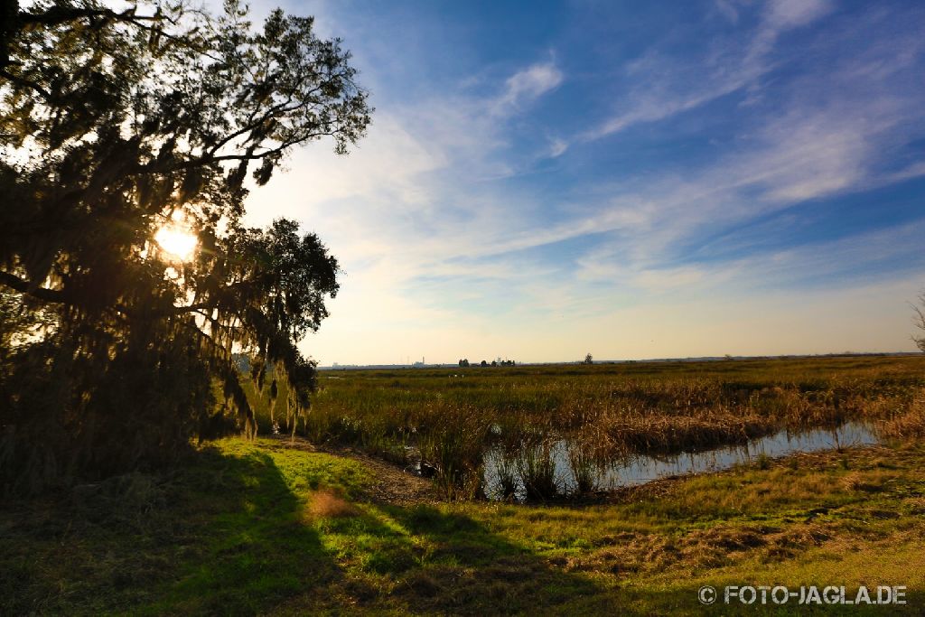 USA Roadtrip durch die Everglades Januar 2013, Florida