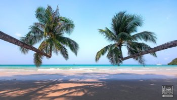 Palmen am Khlong Chao Beach
Landschaftsfotografie auf der Insel Insel Ko Kut (Ko Kood)
Thailand