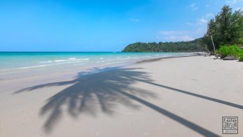 Palmen am Khlong Chao Beach
Landschaftsfotografie auf der Insel Insel Ko Kut (Ko Kood)
Thailand