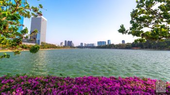 Benjakitti Park in der Hauptstadt Bangkok
Thailand