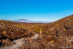 Landschaft Neuseeland