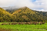 Landschaft Neuseeland