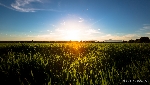 Landschaft Mallorca