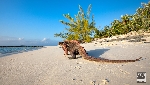 Landschaft Bahamas