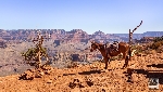 Landschaft Arizona