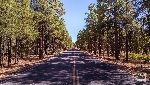 Landschaft Arizona