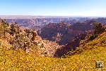 Landschaft Arizona