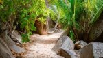 Landschaft Seychellen