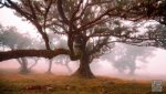 Landschaft Madeira