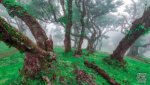 Landschaft Madeira