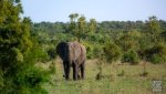 Landschaft Suedafrika