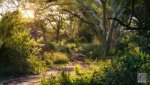 Landschaft Suedafrika