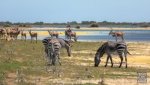 Landschaft Suedafrika