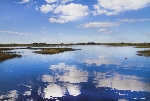 70000 Tons of Metal 2012 ::. Miami, Florida ::. Everglades