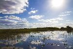 70000 Tons of Metal 2012 ::. Miami, Florida ::. Everglades