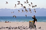 70000 Tons of Metal 2012 ::. Miami, Florida ::. South Beach am Abend