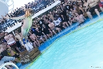 70000 Tons of Metal 2012 ::. Miami, Florida ::. Belly Flop Contest @ Pool