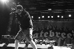 HATEBREED ::. Devil Side Festival 2012 (Oberhausen, Gelände Turbinenhalle)