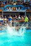 70000 Tons of Metal 2013 ::. Belly Flop Contest ::. http://www.foto-jagla.de