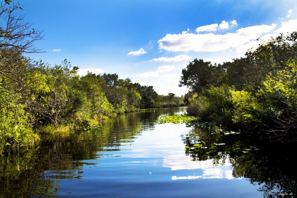 70000 Tons of Metal 2012 ::. Miami, Florida ::. Everglades 70000 Tons of Metal 2012 ::. Miami, Florida ::. Everglades