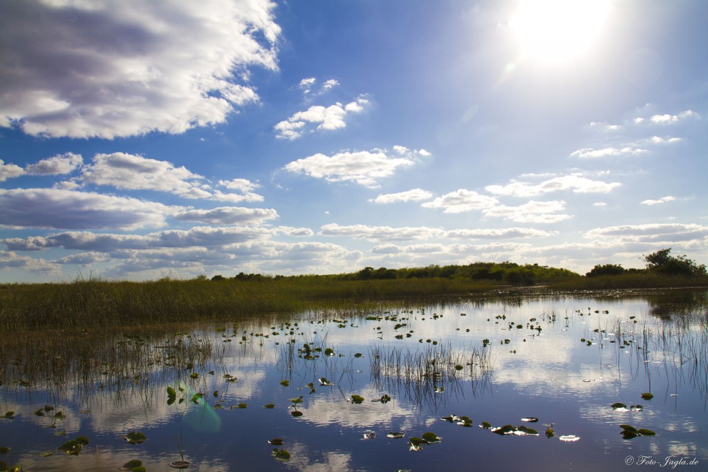 70000 Tons of Metal 2012 ::. Miami, Florida ::. Everglades 70000 Tons of Metal 2012 ::. Miami, Florida ::. Everglades