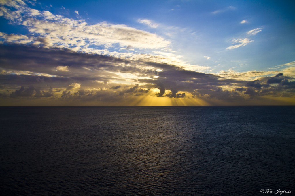 70000 Tons of Metal 2012 ::. Miami, Florida ::. Aussicht vom Pooldeck der Majesty of the Seas 70000 Tons of Metal 2012 ::. Miami, Florida ::. Aussicht vom Pooldeck der Majesty of the Seas