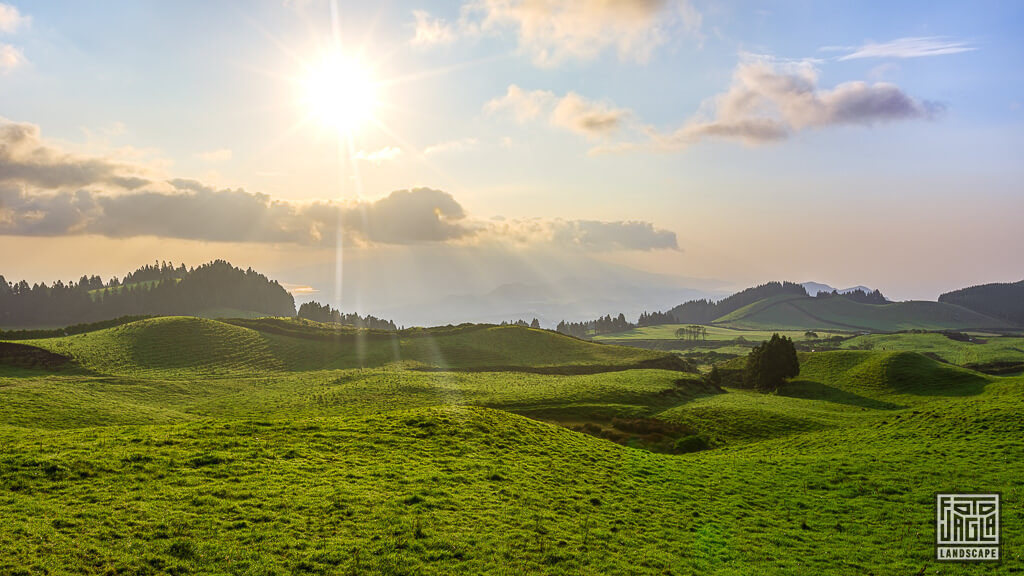 Die Felder und Wiesen der portugiesische Insel São Miguel auf den Azoren zum Sonnenaufgang