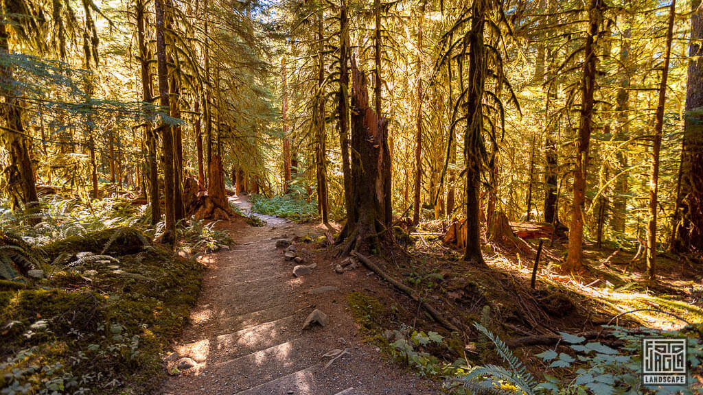 Sol Duc Trailhead im Olypic National Park in Washington, USA