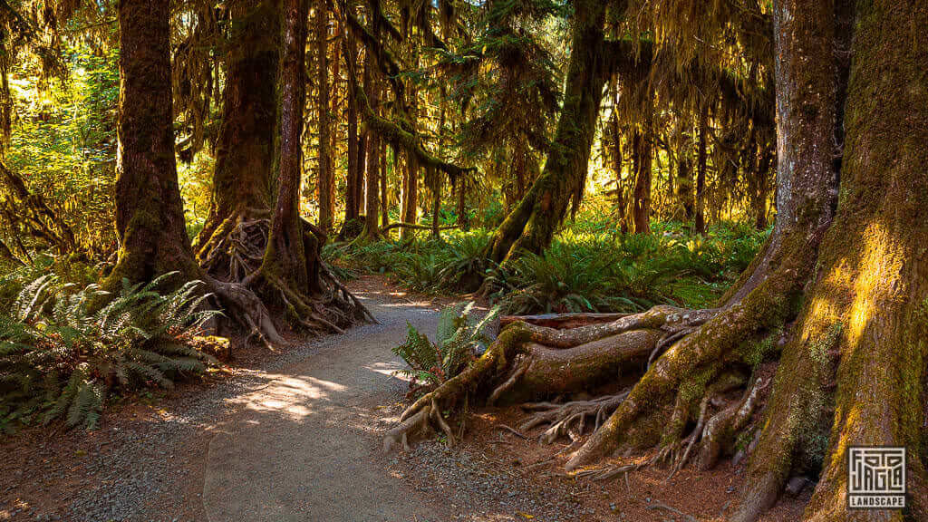 Sol Duc Trailhead im Olypic National Park in Washington, USA