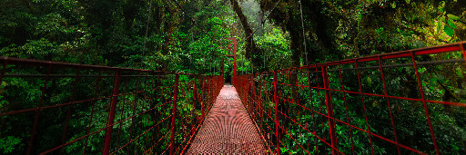 Landschaftsaufnahmen